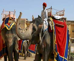 Taj Mahal Holiday Package